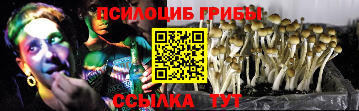 Ивантеевка  Галлюциногенные грибы мухоморы  хочу наркоту  Вход с VPN 